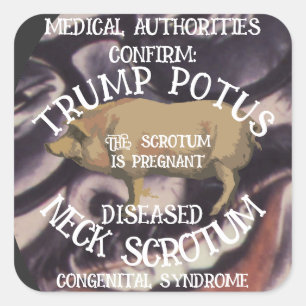 CONFIRMED TRUMP'S NECK SCROTUM IS PREGNANT SQUARE STICKER