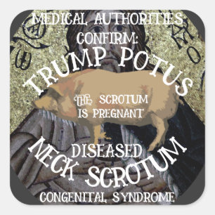 CONFIRMED TRUMP'S NECK SCROTUM IS PREGNANT SQUARE STICKER