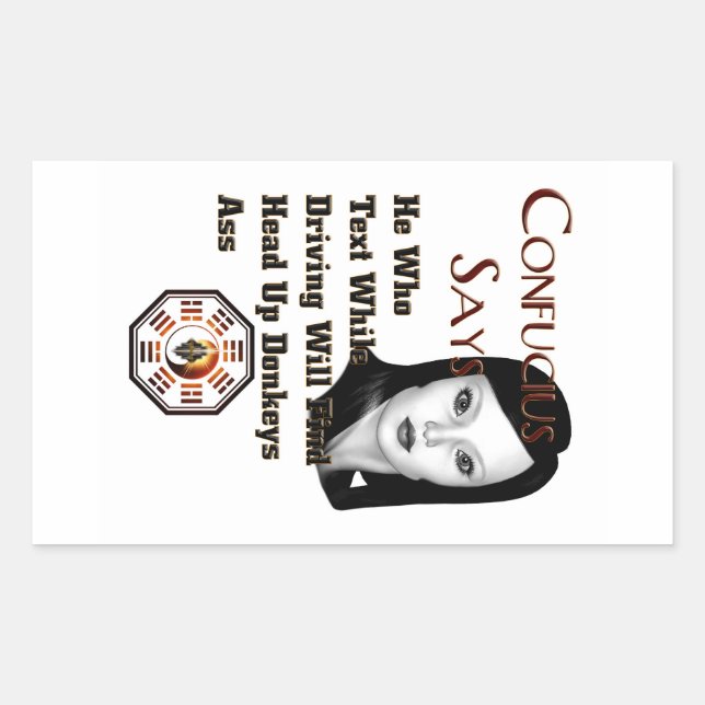 Confucius Says Rectangular Sticker (Front)