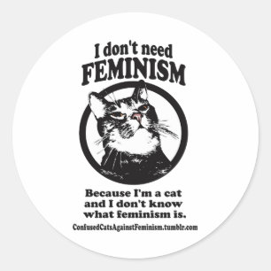 Confused Cats (Sweetie in a Circle design) Classic Round Sticker