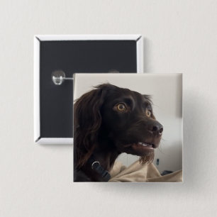 Confused Dog Meme Pin Button