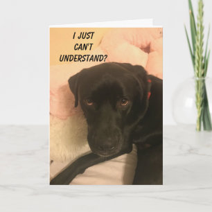 "CONFUSED LAB" JUST CAN'T BELIEVE YOU'RE 70! CARD
