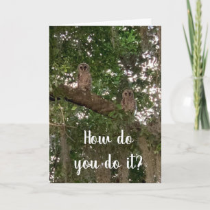 CONFUSED OWLS DON'T KNOW "HOW YOU DO IT" 40th Card