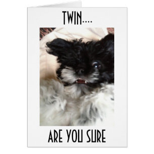 CONFUSED PUP SAYS HOW CAN YOU BE **60** TWIN?