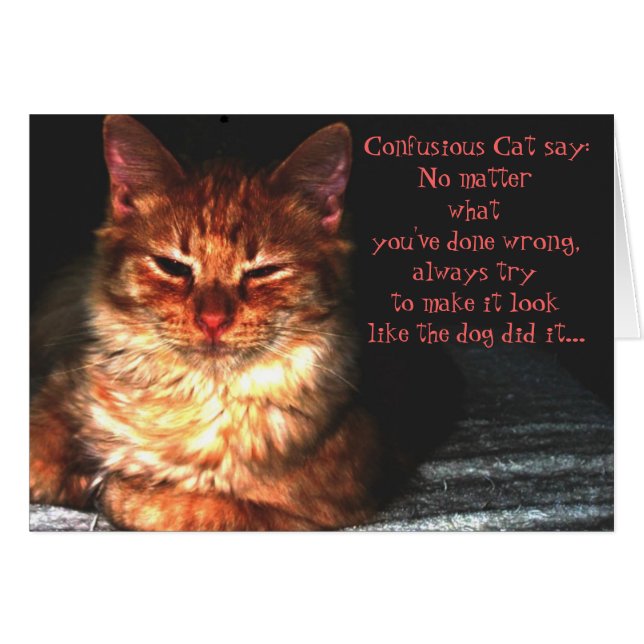 Confusious Cat say: (Front Horizontal)