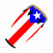 Conga Flag Puerto Rico