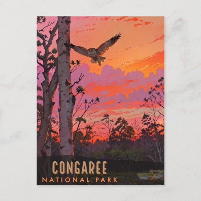 Congaree National Park Postcard (Front)