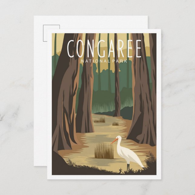 Congaree National Park South Carolina Illustration Postcard (Front/Back)