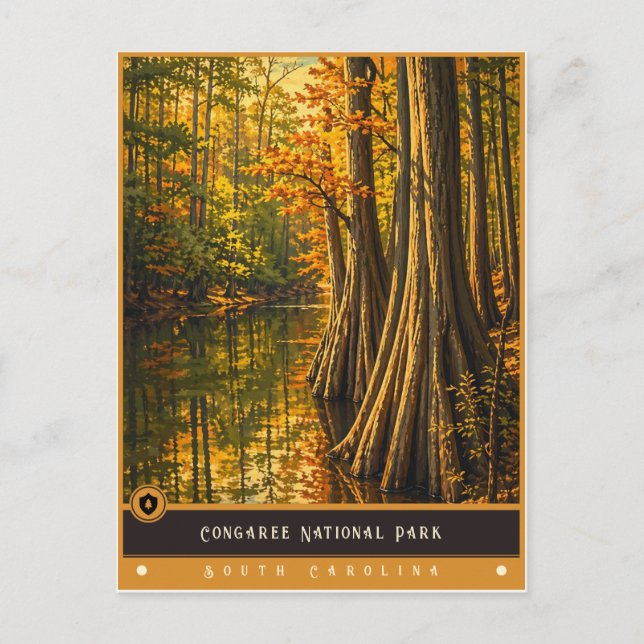Congaree National Park | Vintage Postcard (Front)