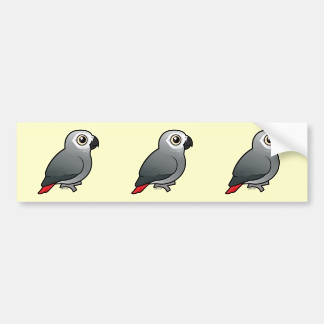 Congo African Grey Bumper Sticker (Front)
