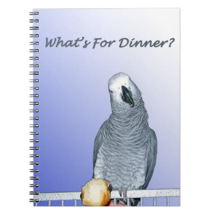 Congo African Grey dinner notebook