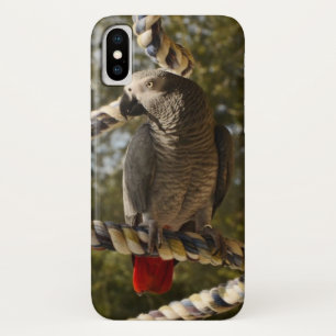 Congo African Grey on a Swing iPhone X Case