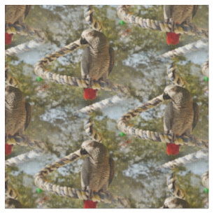 Congo African Grey on a Swing Fabric