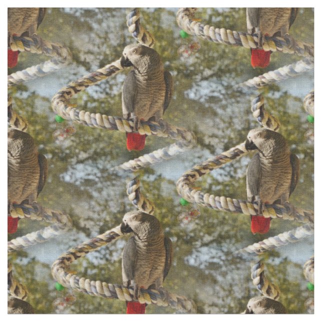 Congo African Grey on a Swing Fabric (Close Up)