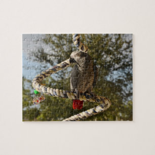 Congo African Grey on a Swing Jigsaw Puzzle