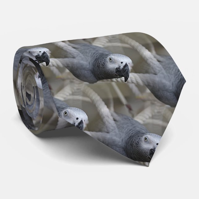 Congo African Grey Parrot Having Fun Tie (Rolled)