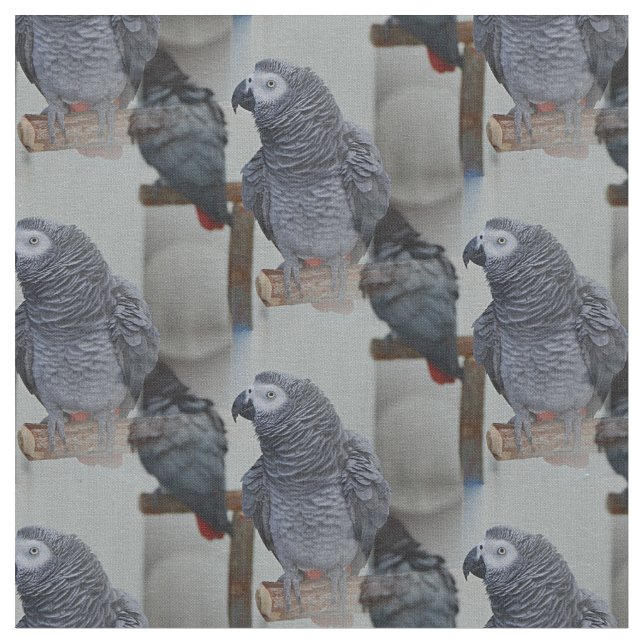 Congo African Grey Parrot in Mirror Fabric (Close Up)