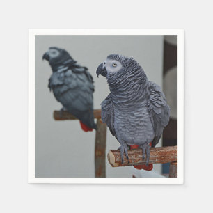 Congo African Grey Parrot in Mirror Napkin