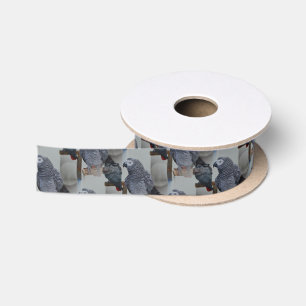 Congo African Grey Parrot in Mirror Satin Ribbon
