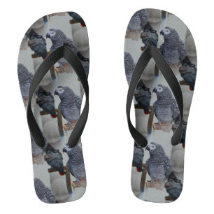 Congo African Grey Parrot in Mirror Thongs