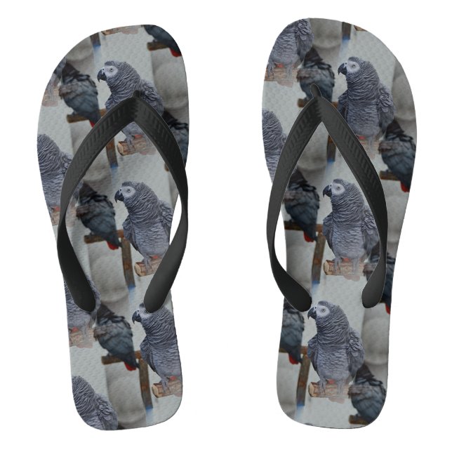Congo African Grey Parrot in Mirror Thongs (Footbed)