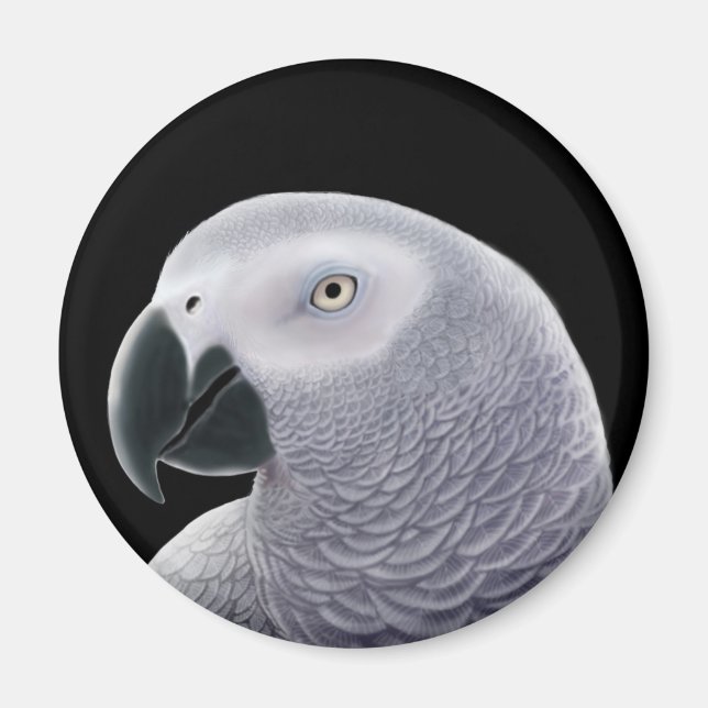 Congo African Grey Parrot Magnet (Front)