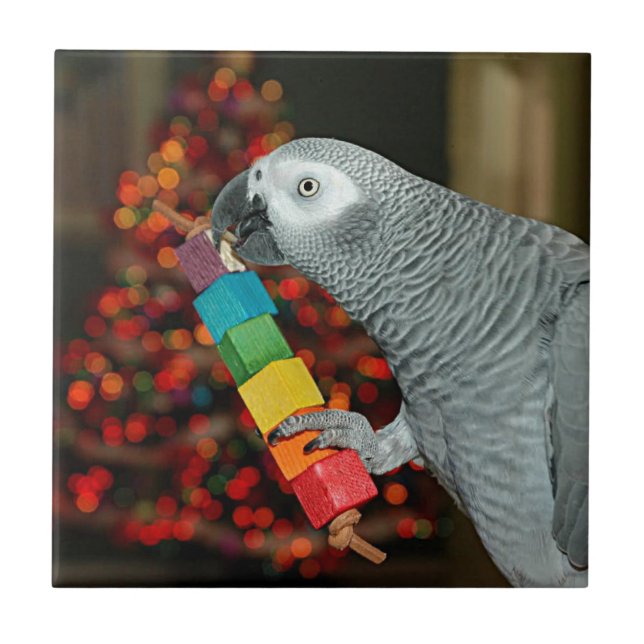 Congo African Grey Parrot Merry Christmas Tree Ceramic Tile (Front)