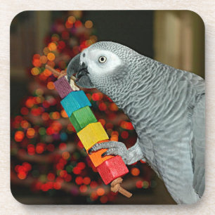 Congo African Grey Parrot Merry Christmas Tree Coaster
