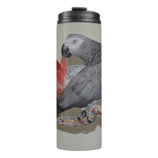 Congo African Grey Parrot Tail Preening Thermal Tumbler (Front)