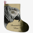 Congo African Grey Parrot with Ruffled Feathers