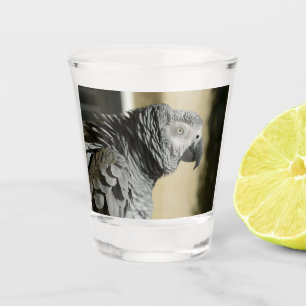 Congo African Grey Parrot with Ruffled Feathers Shot Glass
