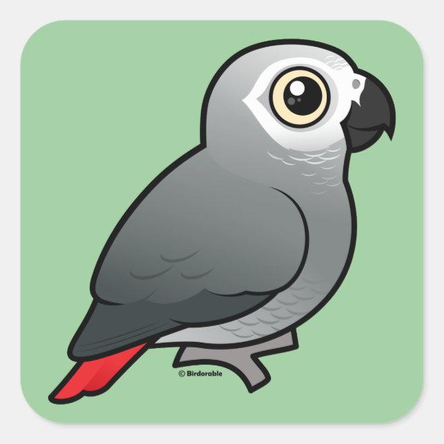 Congo African Grey Square Sticker (Front)