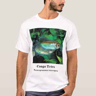 Congo tetra , Phenacogrammus interruptus T-Shirt