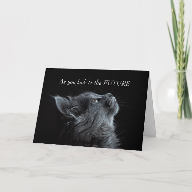 Congradulations on Graduation Cute Cat Card (Front)