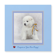 Congrats on New Samoyed Puppy Magnetic Card.