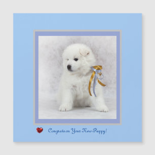 Congrats on New Samoyed Puppy Magnetic Card.