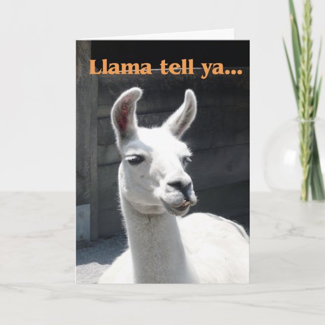Congrats on Promotion - Llama Card (Front)