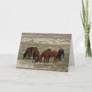 Congrats to New Vet Graduate - Ranch or Farm DVM Card