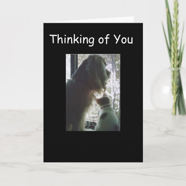 CONGRATS YOU ARE NOW **A TEEN** 13th BIRTHDAY Card (Front)