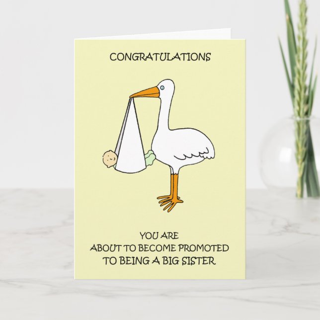 Congratulation Being Promoted to Big Sister Card (Front)