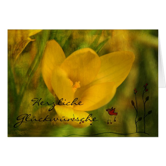 Congratulations (Front Horizontal)