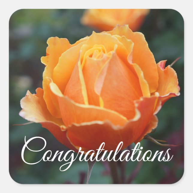 Congratulations About Face Rose #1 Stickers (Front)