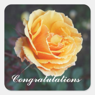 Congratulations About Face Rose #3 Stickers