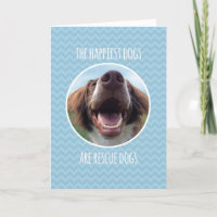 Congratulations, Adopting Rescue Dog, Blue Chevron