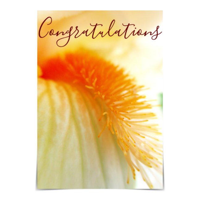 "Congratulations" Bearded Iris Card (Creator Uploaded)