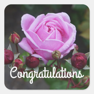 Congratulations Bishop’s Castle Rose#1 Stickers