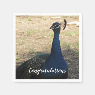 Congratulations Blue Proud Peacock Photo Bird Napkin
