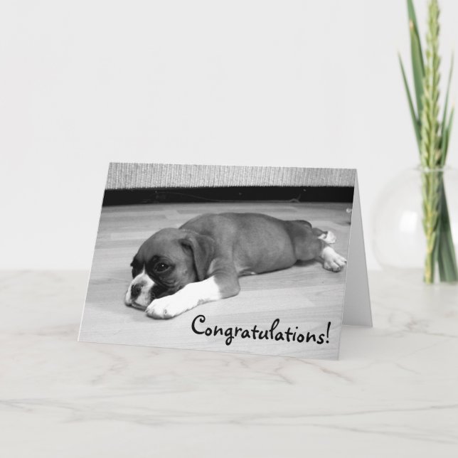 Congratulations Boxer Dog greeting card (Front)