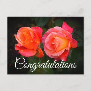 Congratulations Broadway Rose #1 Postcard