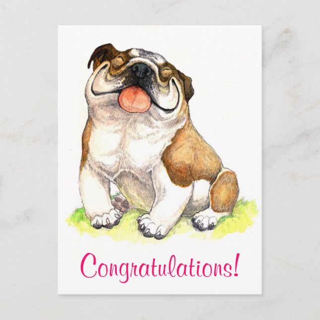Congratulations Bulldog Puppy  Greeting Postcard (Front)